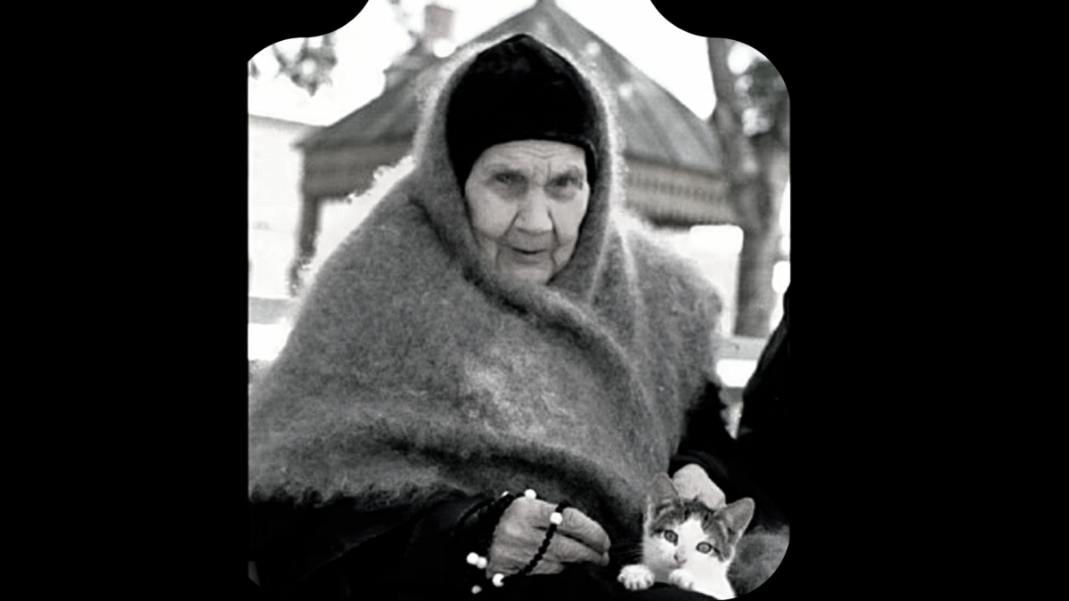 Матушка схимонахиня Антония. Схимонахиня Антония Кавешникова. Фото схимонахини Антонии. Белая березенька матушка