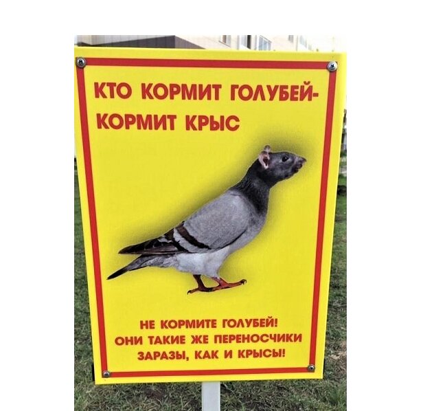  Картинка из интернета