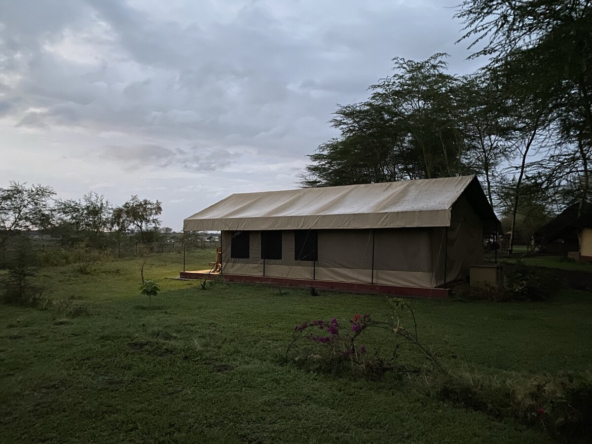 Так выглядела наша палатка в глэмпинге в утреннем свете