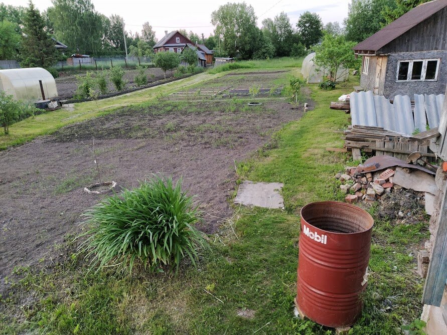 Два года назад участок перепахали, выровняли. Посадили деревца, ягодные кусты, заложили огород.