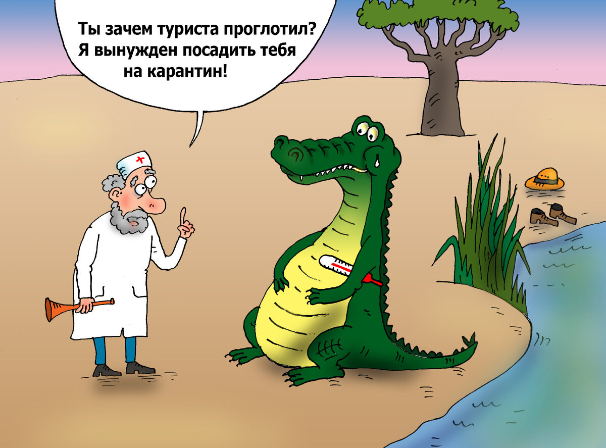 Аттестация карикатура