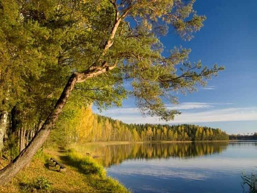 Смоленское поозерье картинки