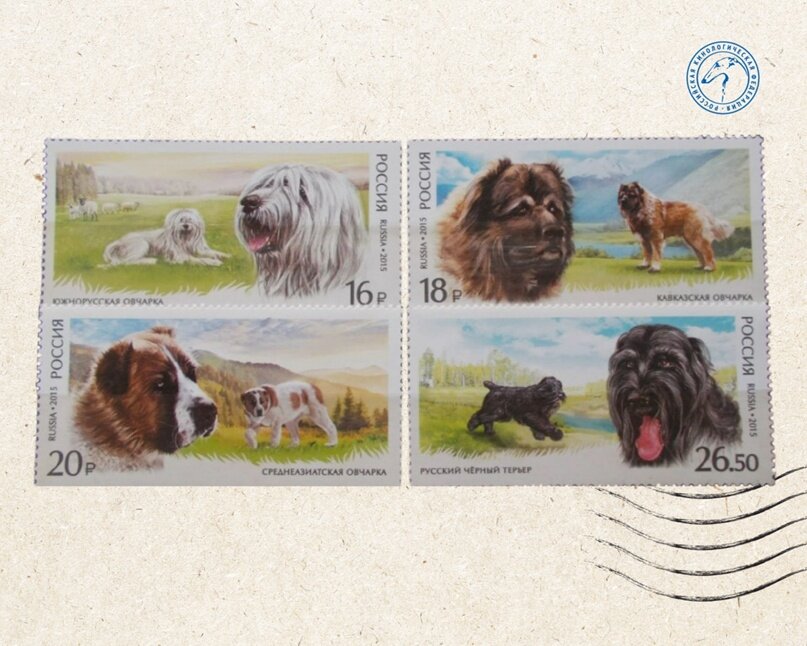 Популярные породы