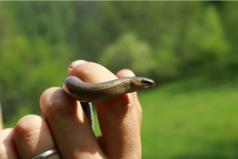 В его взгляде вы можете увидеть невероятный жизненный опыт и всю тяжесть бытия... 