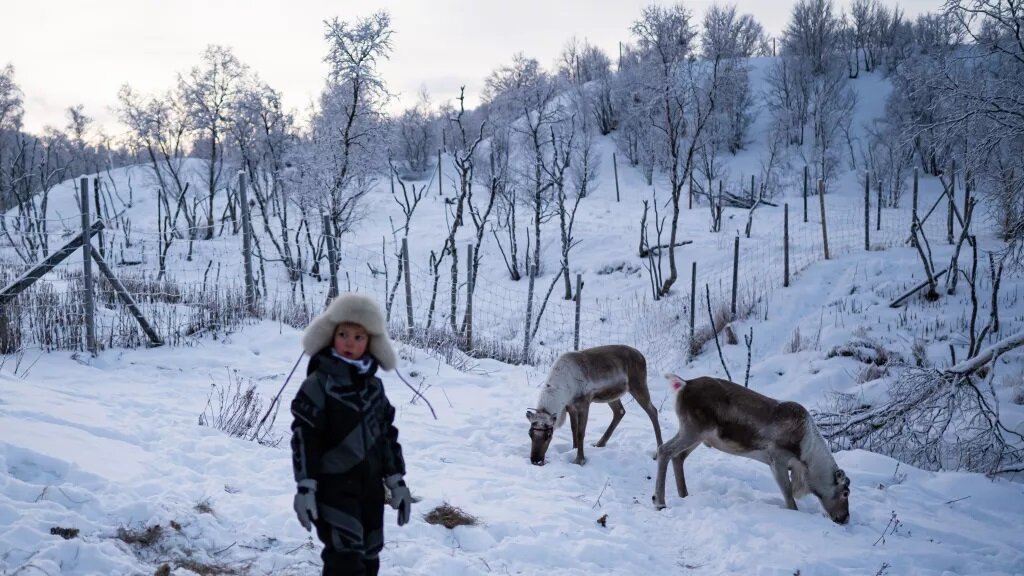 Тундра тает из-за изменения климата. (Фото предоставлено ДЖОНАТАНОМ НАКСТРАНДОМ /AFP/Getty Images)