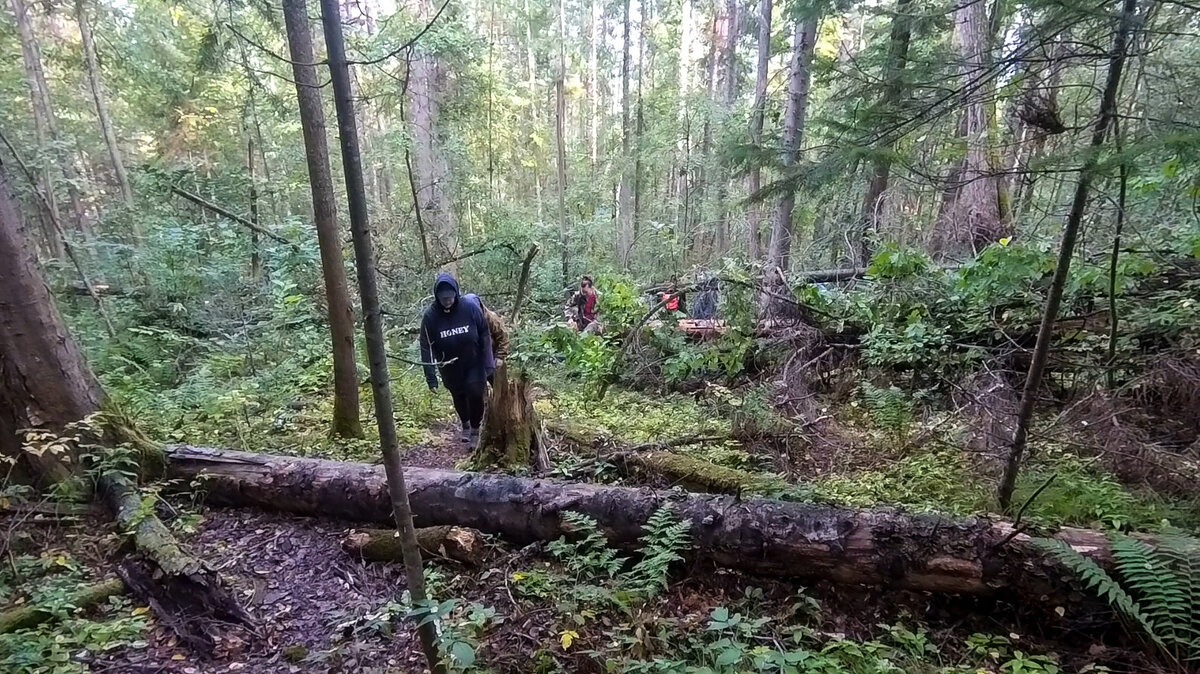 Путь до пещеры