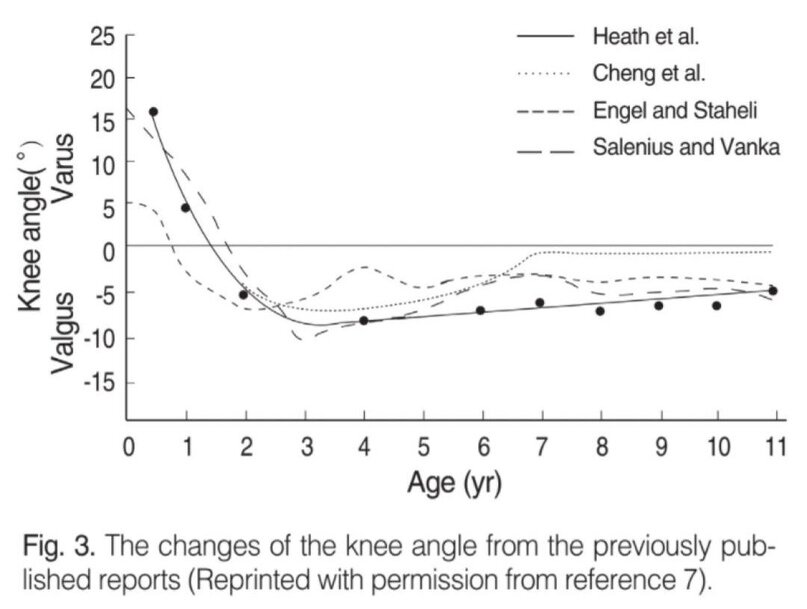 Salenius and Vankka были первыми, кто исследовал развитие угла коленного сустава у детей рентгенологически. 