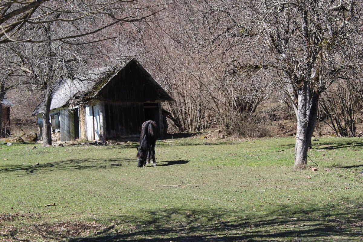 Фото сделано в Адыгее. Там есть удивительные по красоте места 