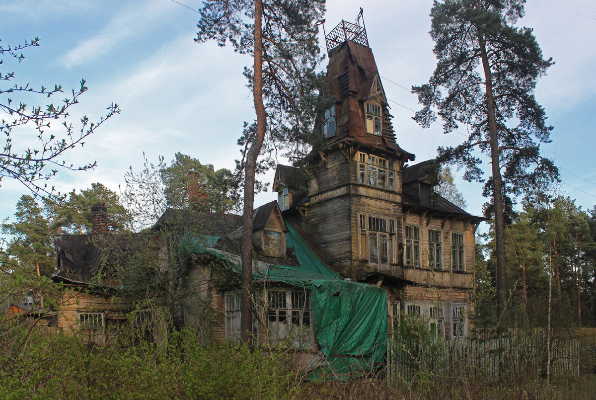 Дача В.Е. Кривдиной