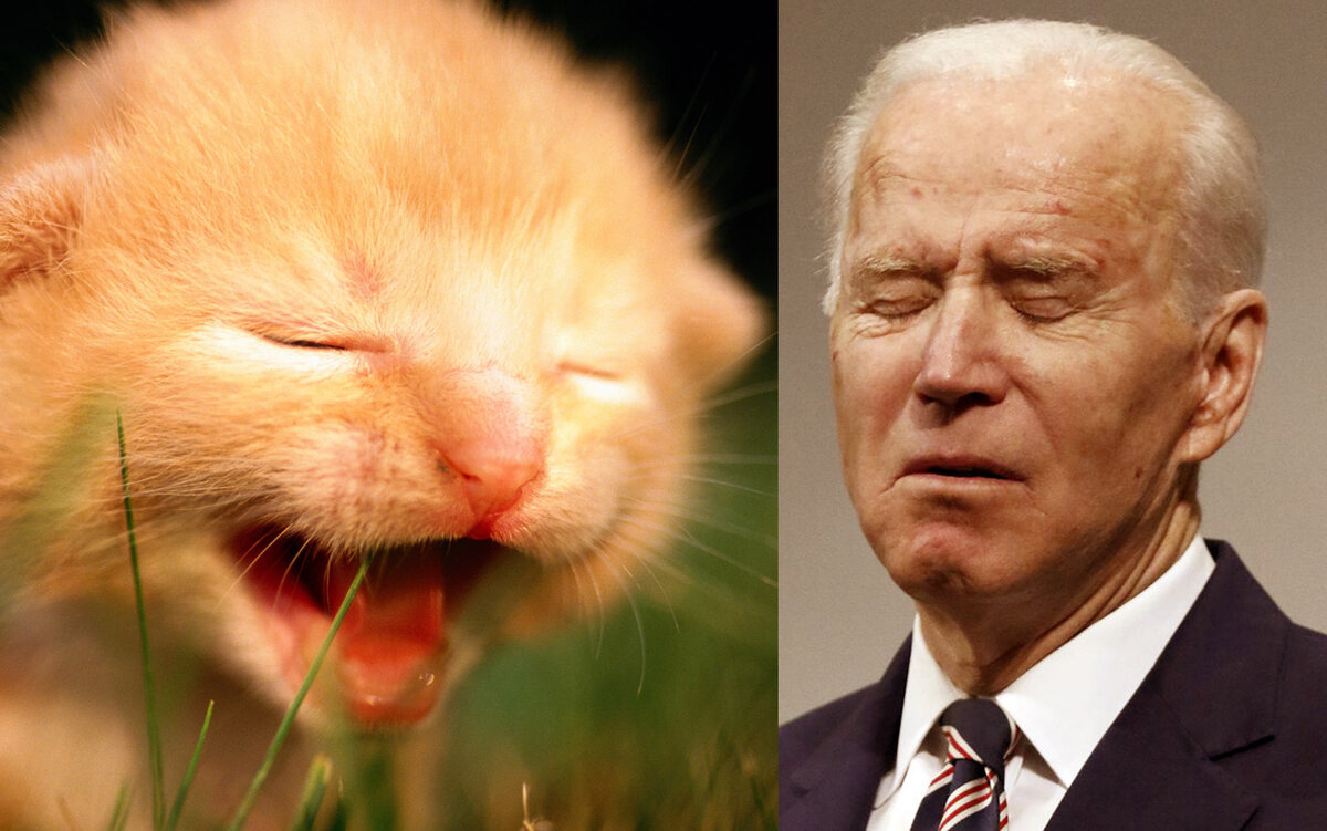 Один еще не прозрел, другой уже не видит. Вернее, порой видит. Ага, то, чего нет.