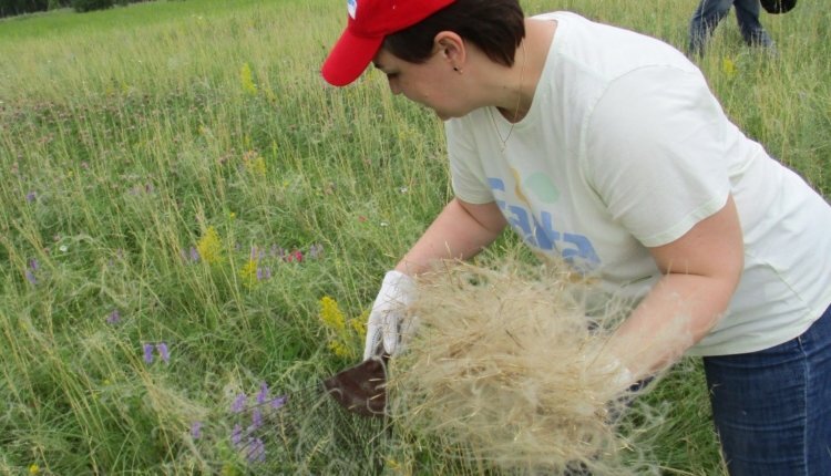 Фото: пресс-служба Росприроднадзора РФ