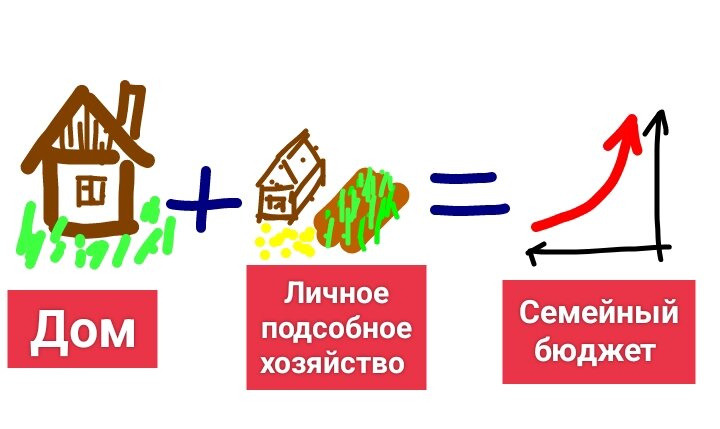 Ведение хозяйства на территории индивидуального жилого строения неплохо поддерживает, а иногда и формирует семейный бюджет