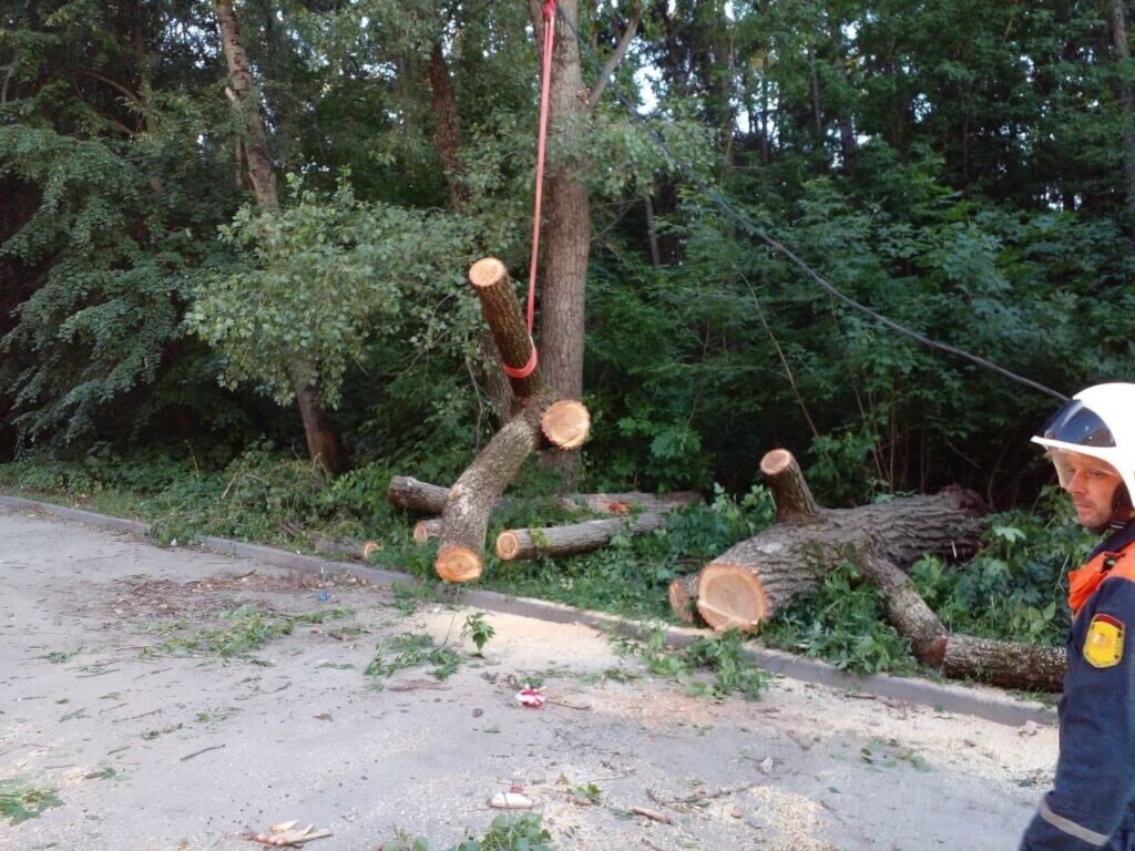 В Приокском на припаркованные машины упало дерево | Новости 7info.ru | Дзен