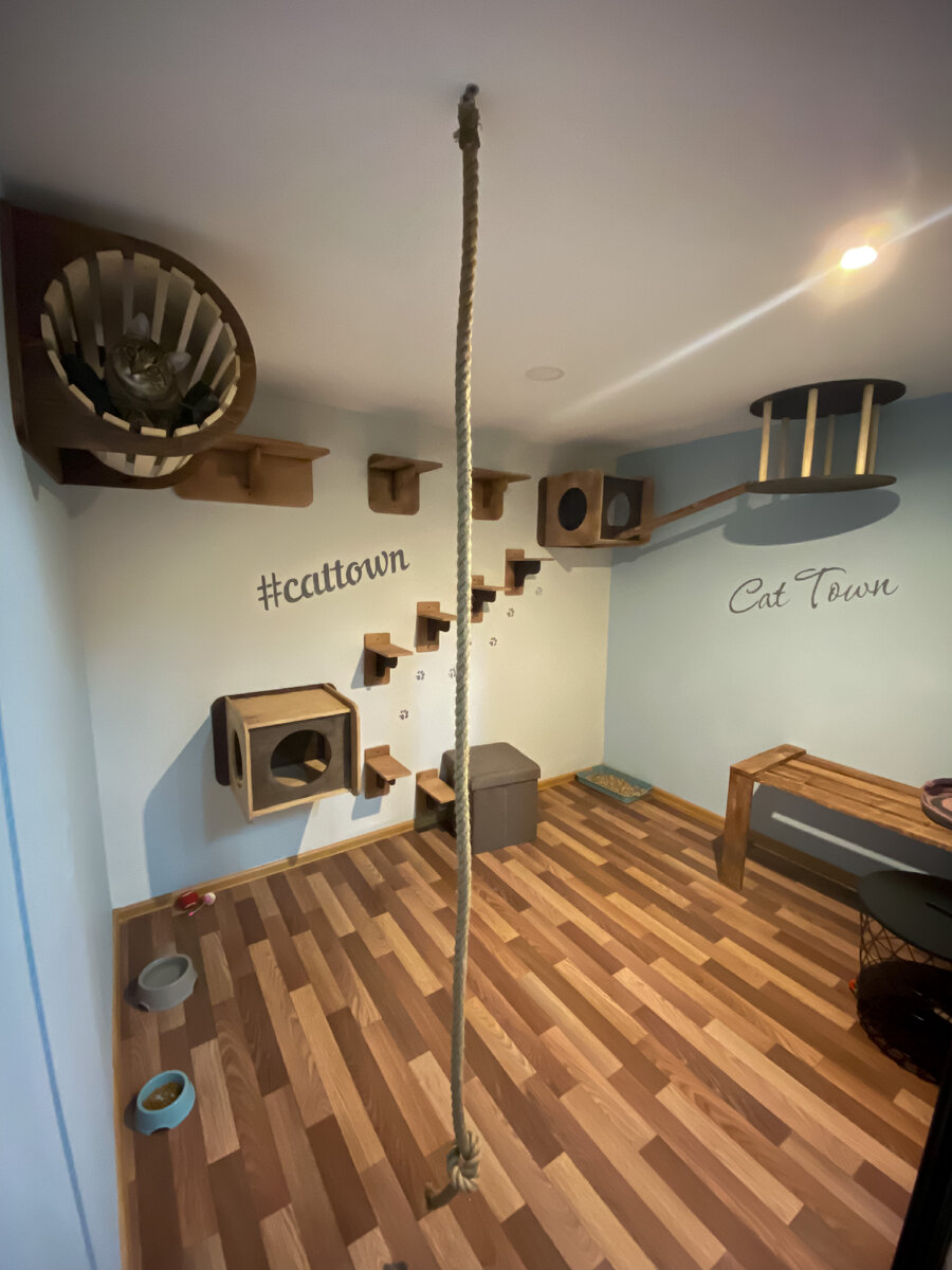 Так выглядит номер Люкс внутри, кстати всего 750₽ в сутки(лоток, наполнитель и миски уже включены)