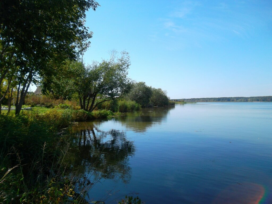 Коломна оз. Река Касмала Алтайский край. Река Касмала в Ребрихе. Ребриха Алтайский край Касмала.