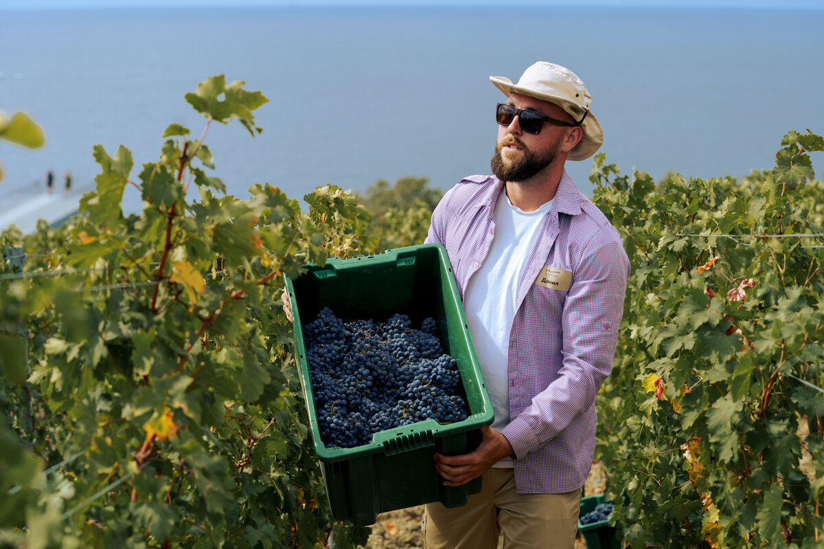 Ежегодный фестиваль WINEPARK Fest // Фото предоставлено курортом Mriya Resort & SPA