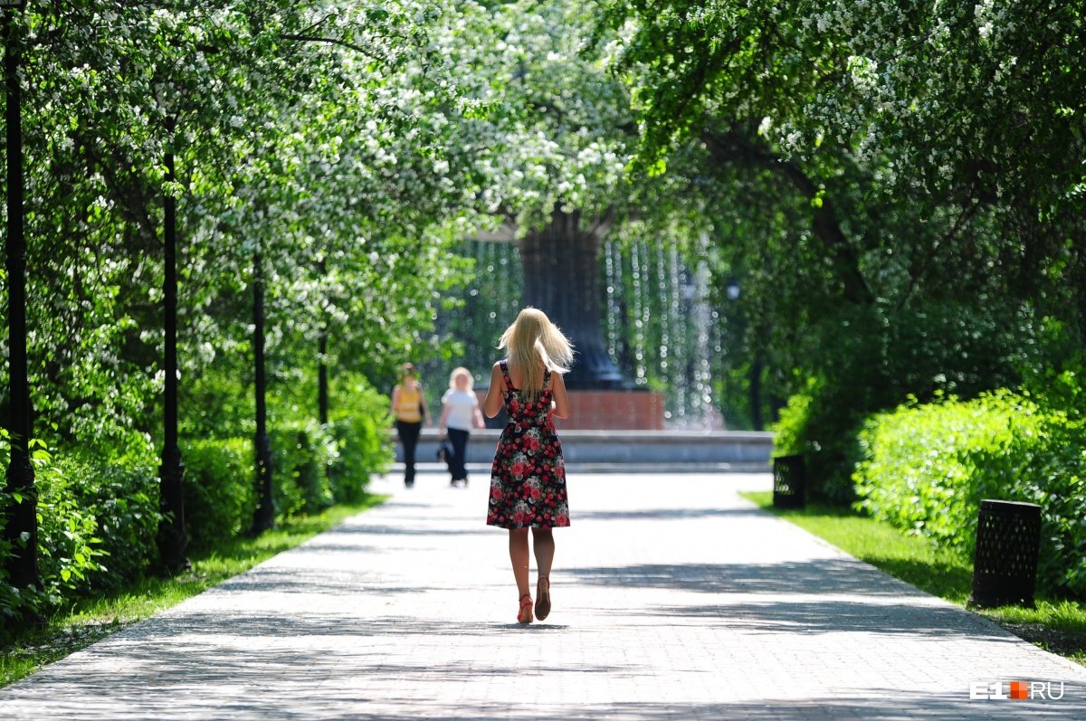 Девушка гуляет. Гулять в парке. Прогулка в городе. В парке летом. Девочка гуляет в парке.