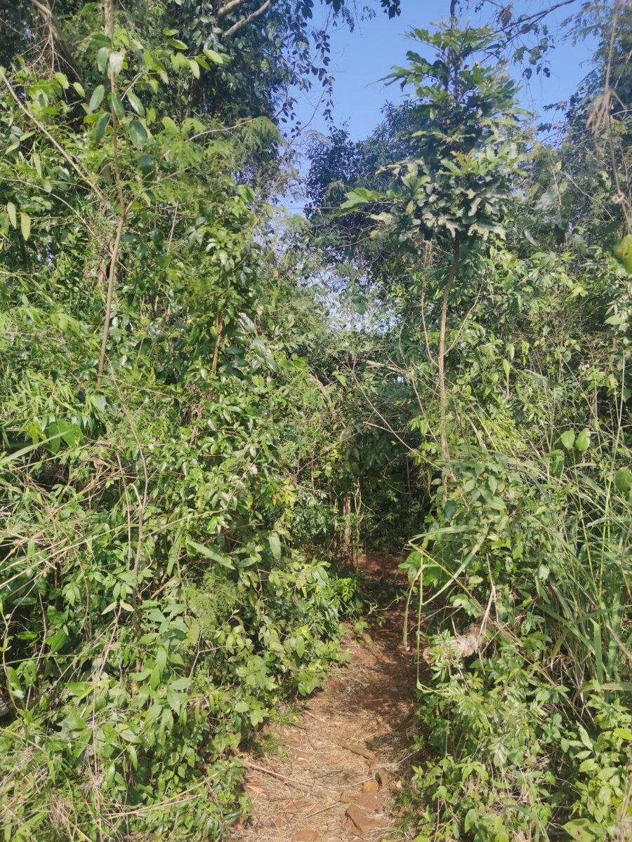 Вход на тропу