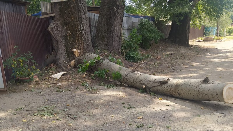 Фото: Из личного архива Елизаветы Козыревой