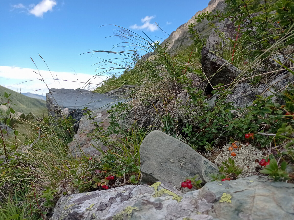 Здесь можно распрямиться