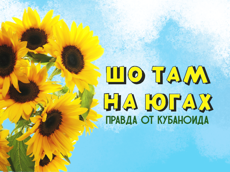 Да шо вы говорите?
