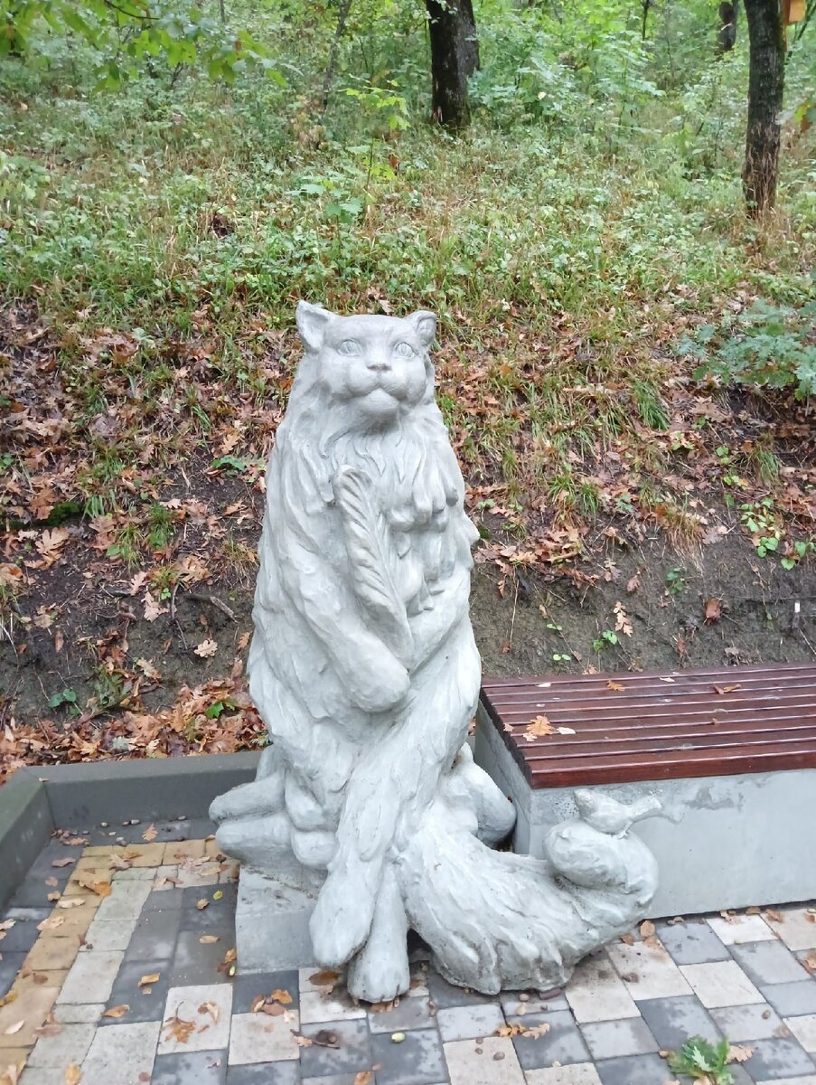 "Кот учёный"- теперь я так ласково называю Фаину после шестидневки