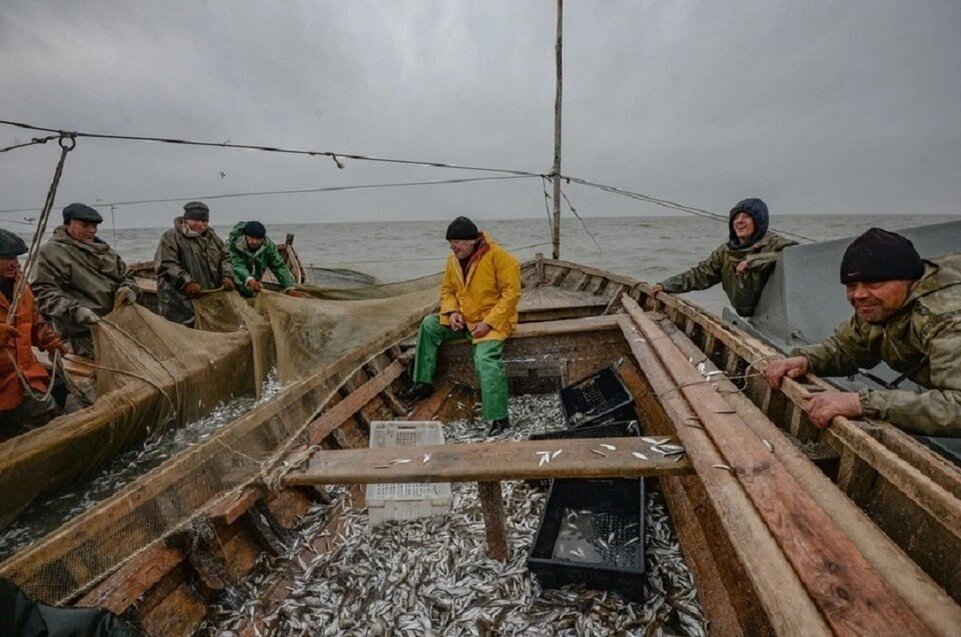     Рыбное хозяйство из Семикракорска запустило реализацию своей продукции в Луганской и Донецкой областях. Виктор ГУСЕЙНОВ
