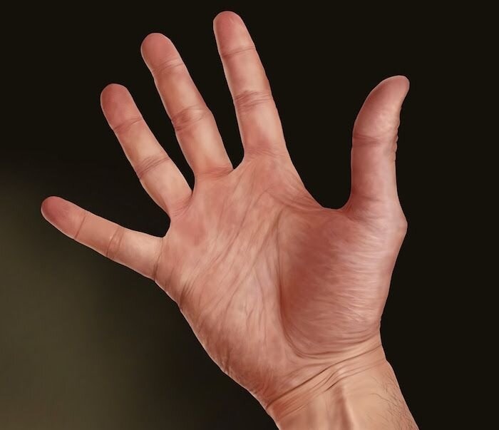 Практическая ладонь