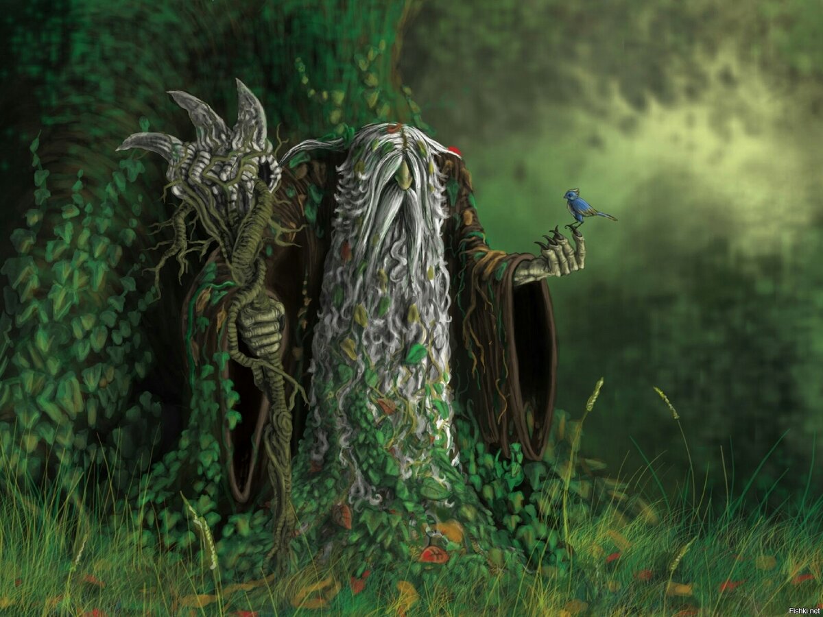 Фото взято из интернета 