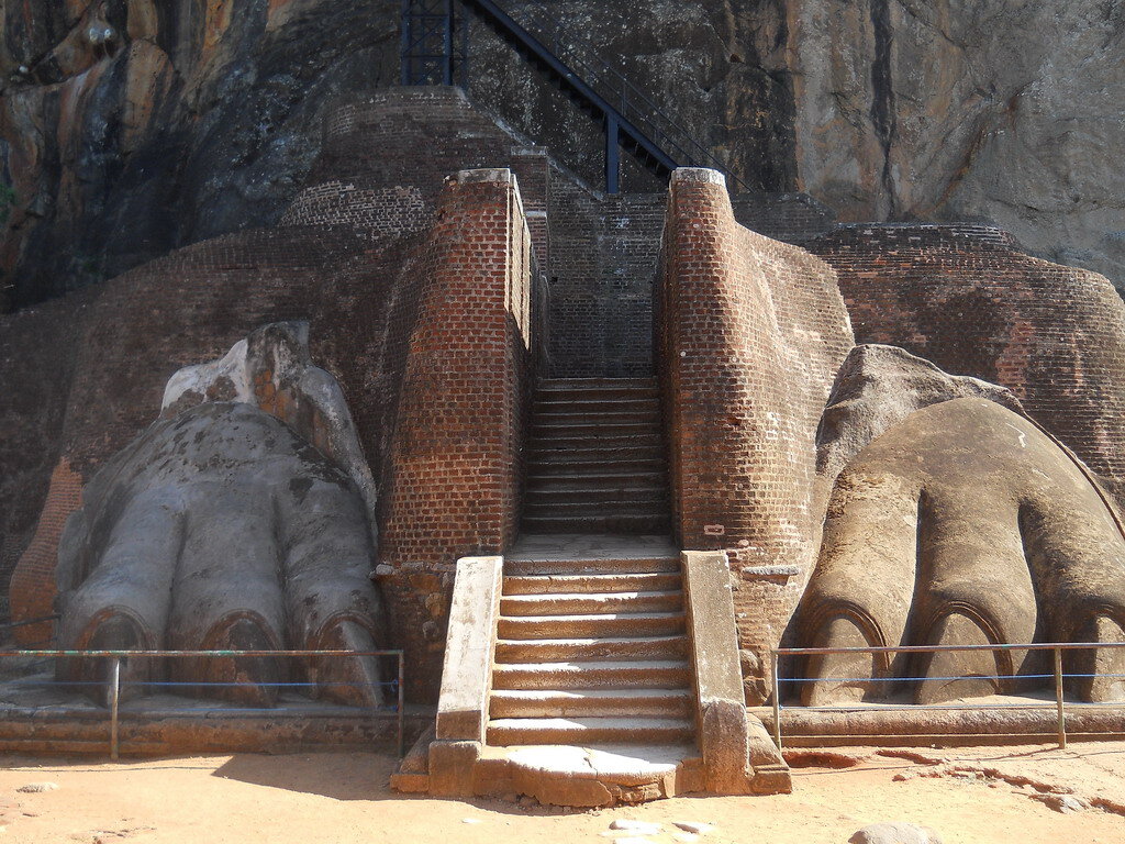 Фото: shutterstock