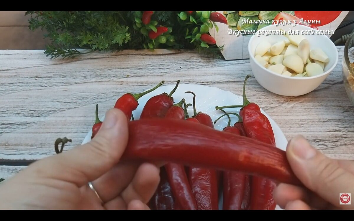 НАСТОЯЩАЯ ГРУЗИНСКАЯ АДЖИКА с Грецкими ОРЕХАМИ Одна из Самых ВКУСНЫХ  заготовок на зиму | Мамина Кухня у Алины | Дзен