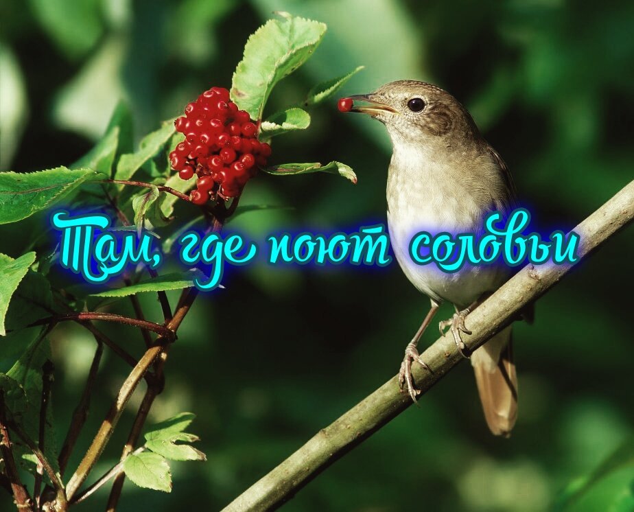 Тимур Соловьев | ВКонтакте