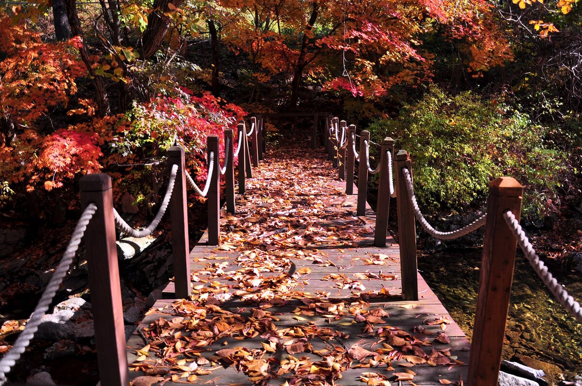 Фото с сайта wallpapermaiden.com