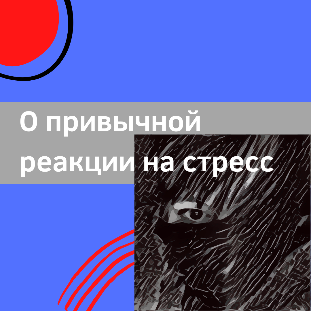 Почему люди по-разному реагируют на стресс: бьют, бегут и замирают |  Прошлое ≠ будущее | Светлана Трошина | Дзен