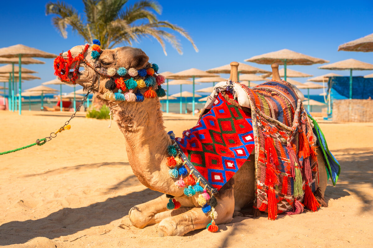 Фото: shutterstock