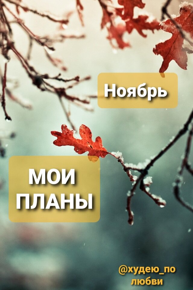 Картинка из Интернета. Надписи мои