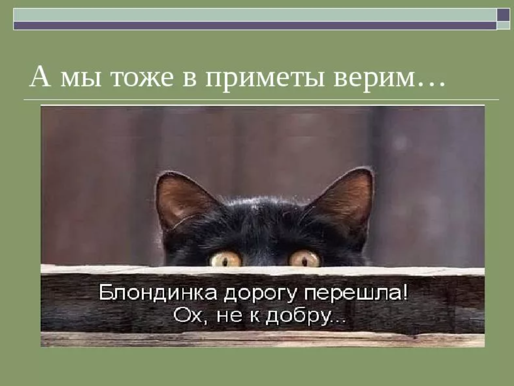 Примет видео. Смешные приметы. Приметы смешные картинки. Смешные народные приметы. Верить в приметы.