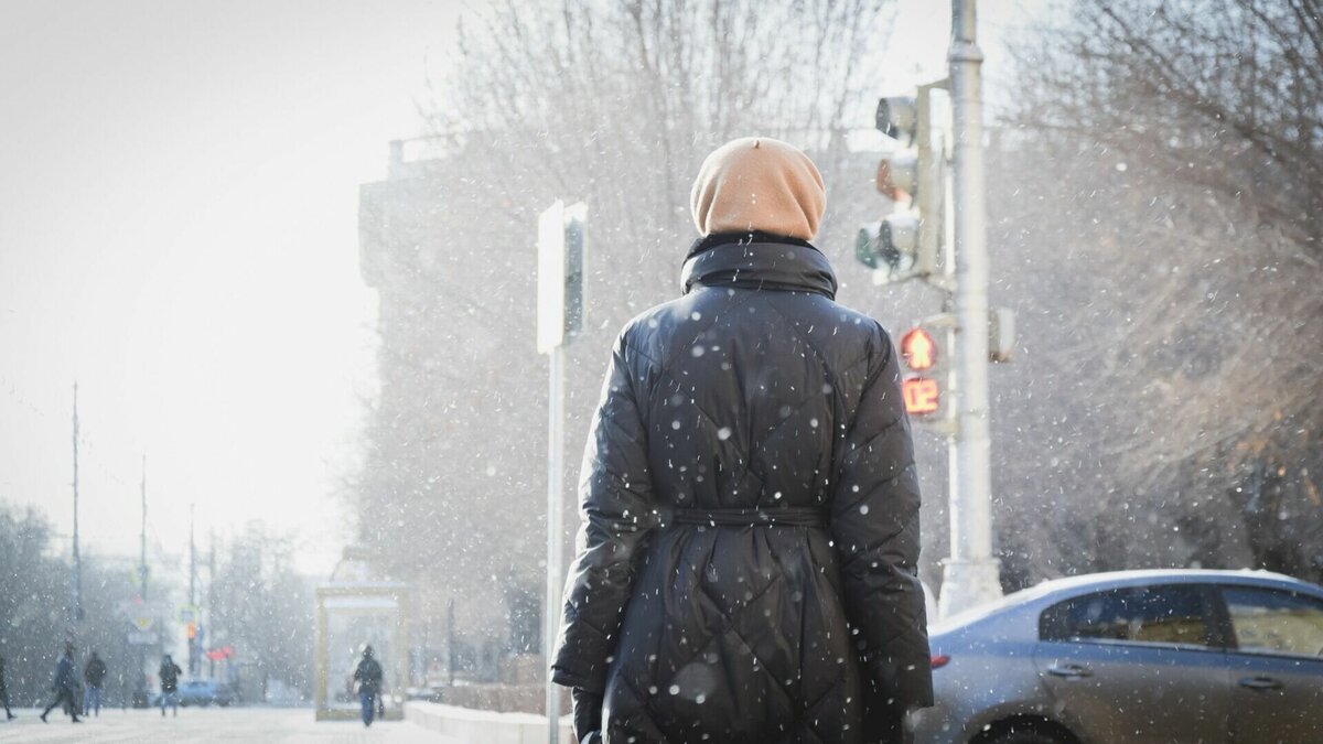     Профессор кафедры метеорологии, климатологии и экологии атмосферы КФУ Юрий Переведенцев в разговоре с корреспондентом Inkazan рассказал, какой погоды ждать татарстанцам в декабре и когда ждать большого снега.