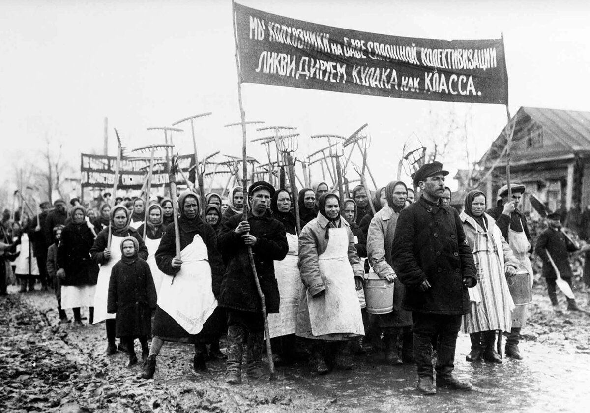 Советского народа на территории. Коллективизация Аркадий Шайхет. Коллективизация 1929-1937. Колхоз в СССР В 30-Е годы. Крестьяне в СССР 20 30 годы.