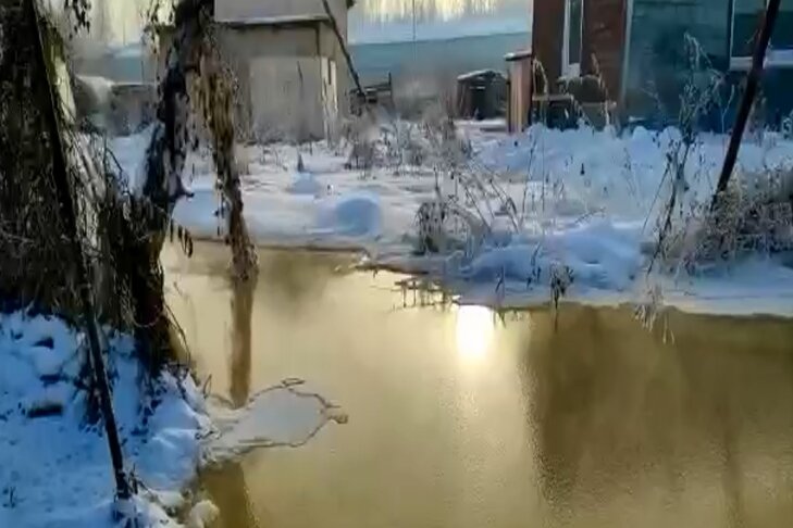   скриншот из видео ТГ-канала минприроды Новосибирской области