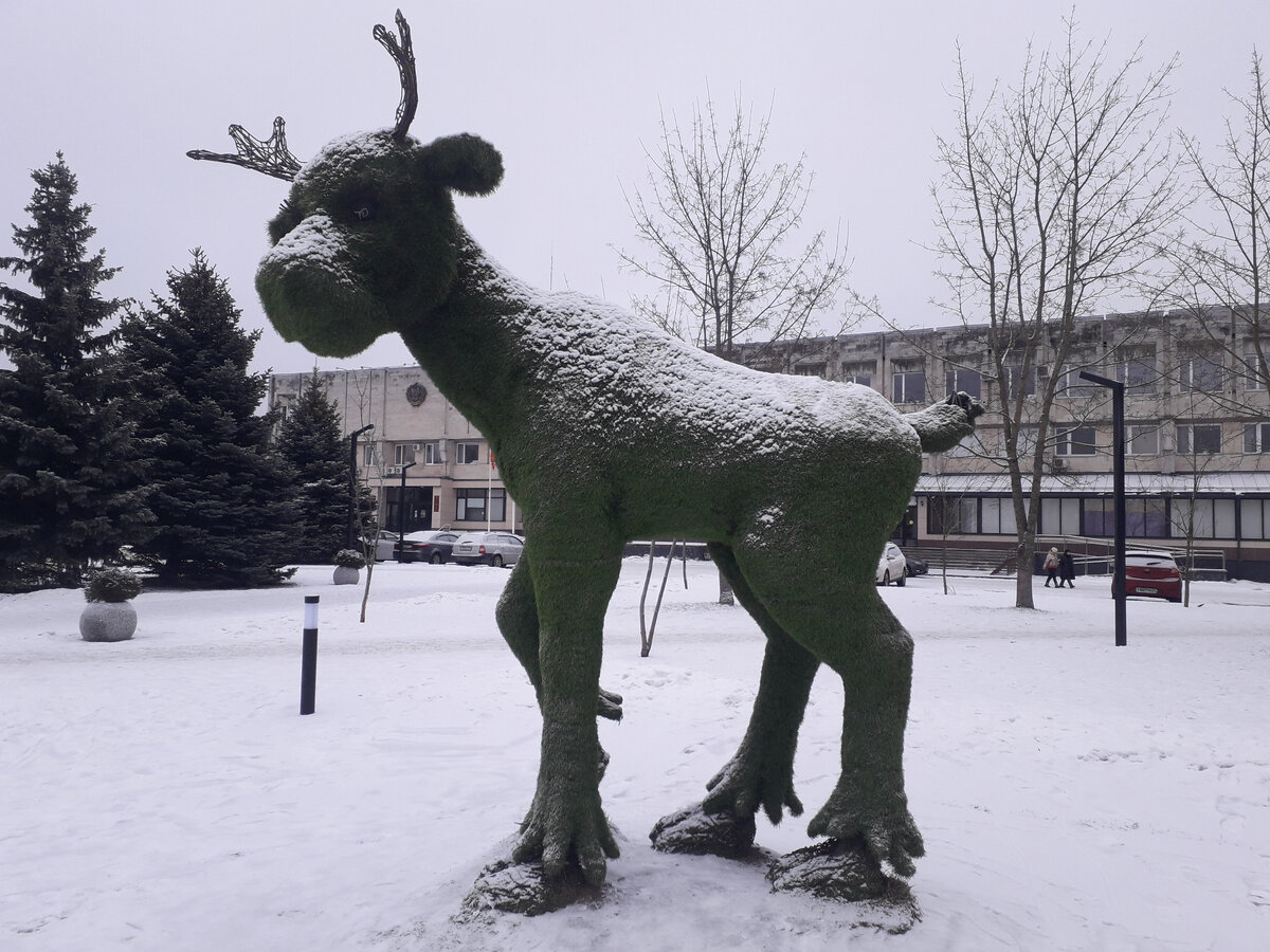 22 января 2023 11:28