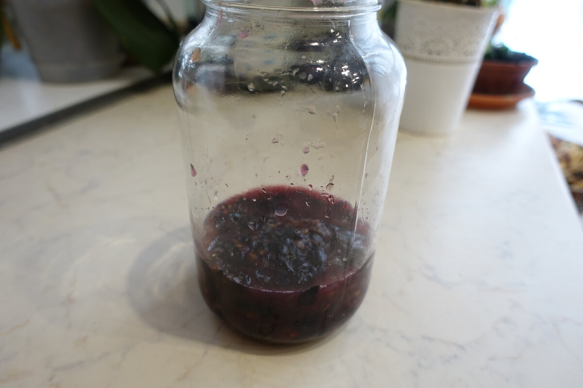 Как сделать закваску для вина из винограда
