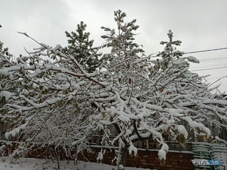    В Оренбуржье днем 1 февраля ожидается туман, изморозь и до -5 градусов Кристина Просвиркина
