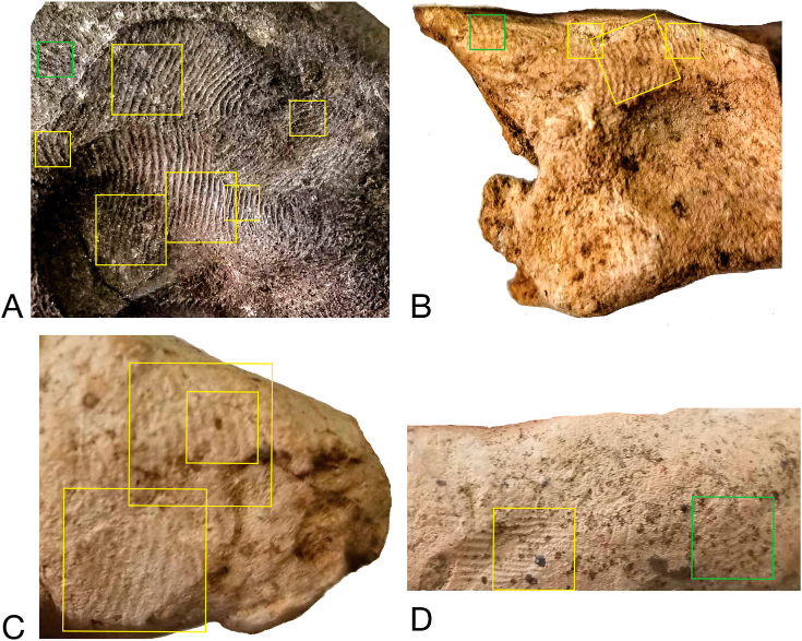   Kent Fowler et al. / Levant, 2023