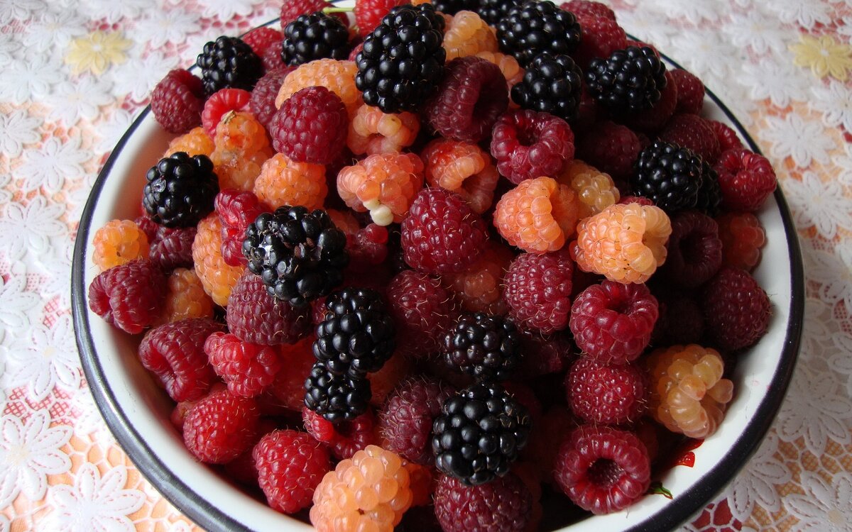 Источник фото: pixabay.com