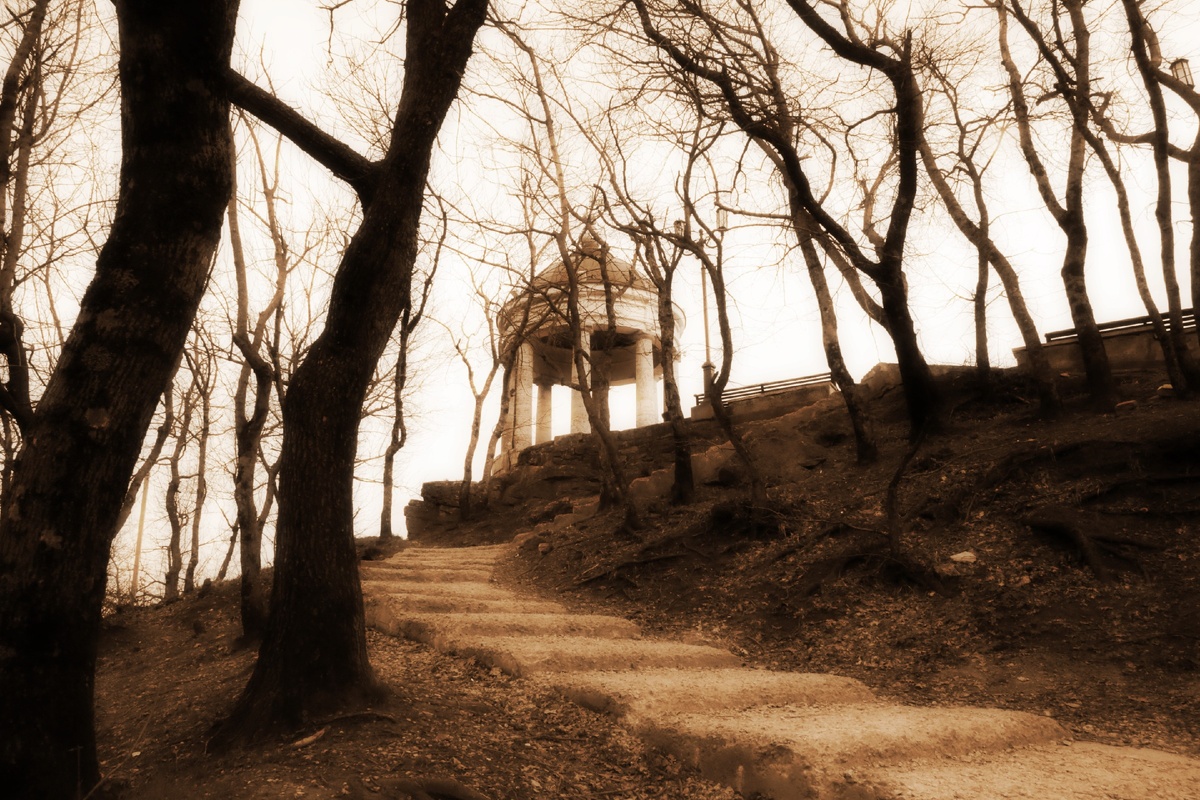 фото Алена Немчанинова