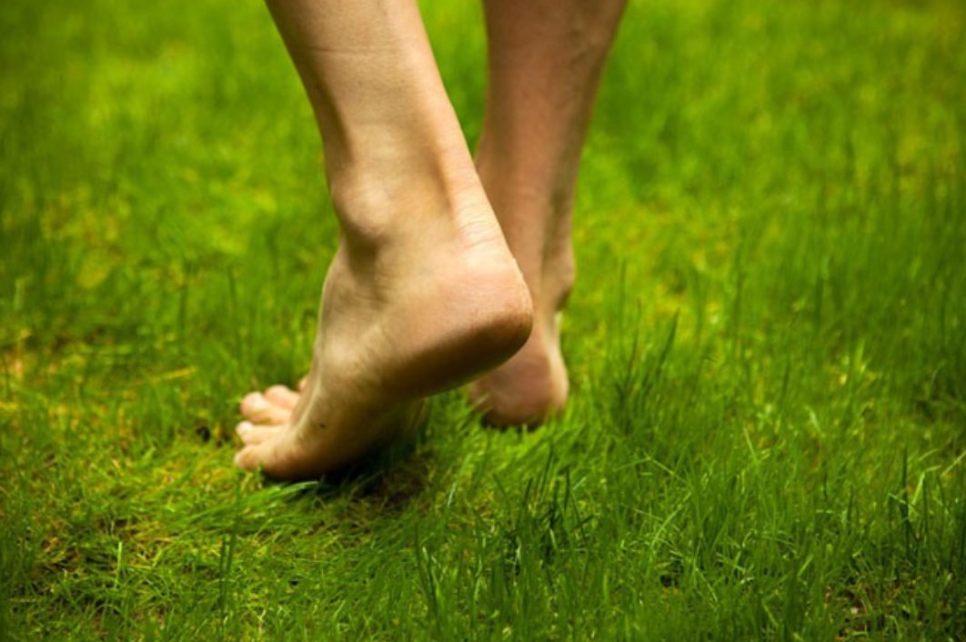 Фото из свободных источников.