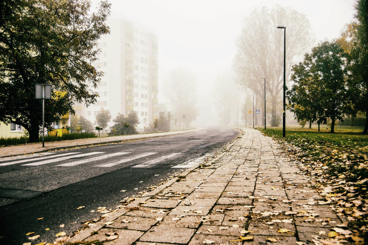 Изображение с сайта Pixabay.com