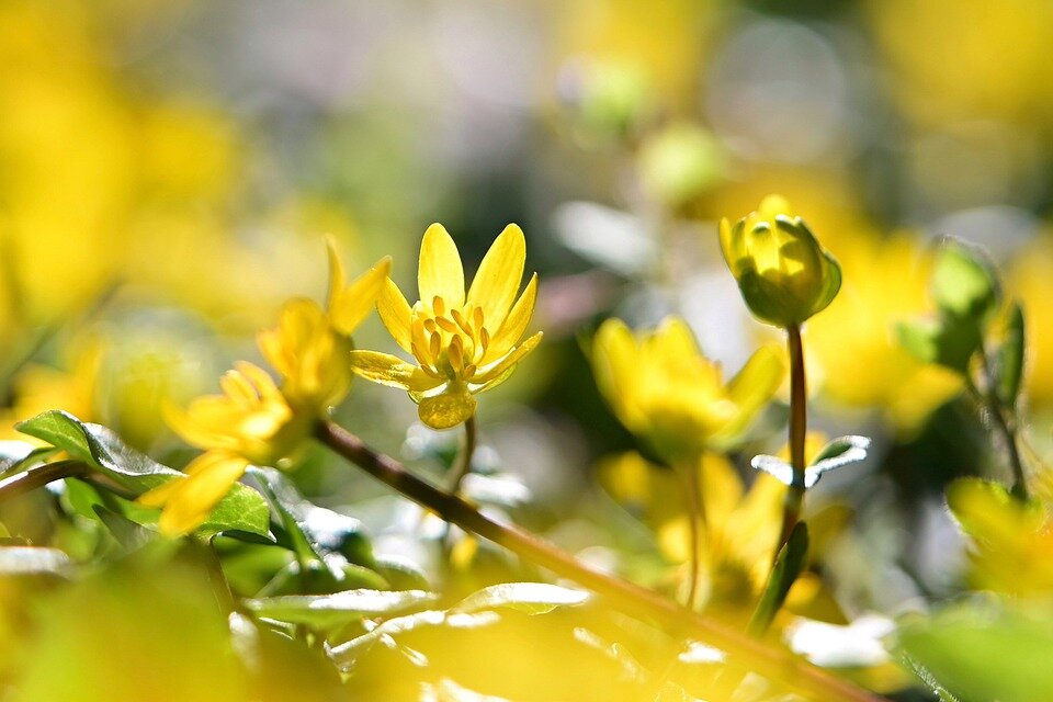 Фото из интернета