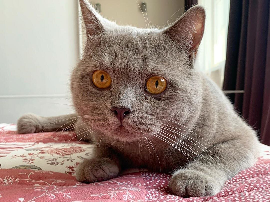 А вот мы и дома :)